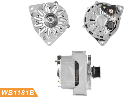 alternator china