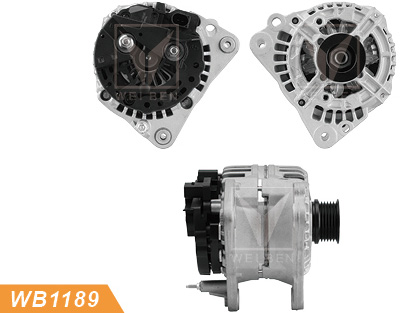 alternator china
