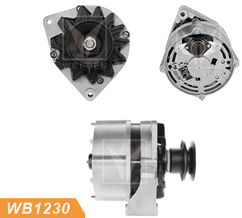 alternator china