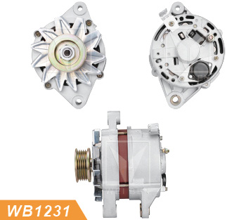 alternator china